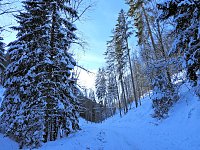 Bild: Im Brandesbachtal