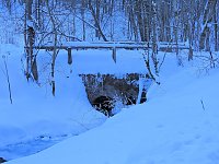Bild: Im Brandesbachtal