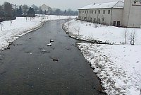 Bild: Beobachtungsposten f&uuml;r Enten?