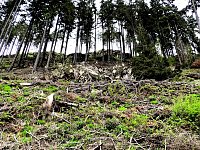 Bild: Vatertagswanderung