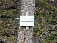 Bild: Vatertagswanderung