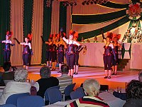 Bild: Rentnerfasching bei Gr&uuml;n-Wei&szlig;