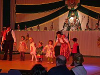 Bild: Rentnerfasching bei Gr&uuml;n-Wei&szlig;
