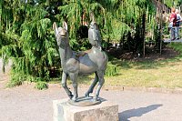 Bild: Kr&ouml;nung der Rosenk&ouml;nigin in Sangerhausen