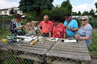 Tag der "Offenen Gärten" -Gartenverein GLÜCKAUF Bild: Tag der "Offenen Gärten" -Gartenverein GLÜCKAUF