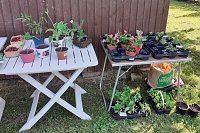 Tag der "Offenen Gärten" -Gartenverein GLÜCKAUF Bild: Tag der "Offenen Gärten" -Gartenverein GLÜCKAUF