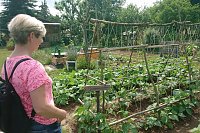 Tag der "Offenen Gärten" -Gartenverein GLÜCKAUF Bild: Tag der "Offenen Gärten" -Gartenverein GLÜCKAUF