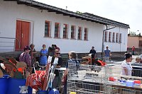 Bild: Sommerfest bei AS-Mayer
