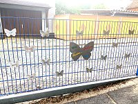Abschied von den Schmetterlingen - Ev. Kindertagesstätte "Arche Noah" in Stockhausen Bild: Abschied von den Schmetterlingen - Ev. Kindertagesstätte "Arche Noah" in Stockhausen