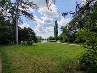 Im Wörlitzer Park Bild: Im Wörlitzer Park