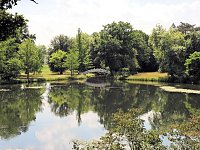 Im Wörlitzer Park Bild: Im Wörlitzer Park