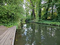 Im Wörlitzer Park Bild: Im Wörlitzer Park