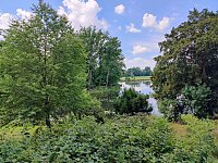 Im Wörlitzer Park Bild: Im Wörlitzer Park