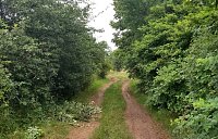 Der Weg ist das Ziel Bild: Der Weg ist das Ziel