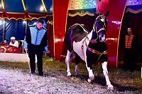 Bild: Zirkus Atlantik in Sundhausen
