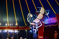 Bild: Zirkus Atlantik in Sundhausen