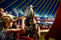 Bild: Zirkus Atlantik in Sundhausen