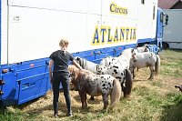 Bild: Zirkus Atlantik in Sundhausen