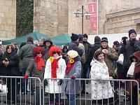 Bild: Rosenmontagsumzug Sondershausen