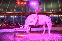 Bild: Zirkus Atlantik in Sundhausen