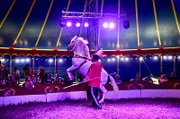 Bild: Zirkus Atlantik in Sundhausen
