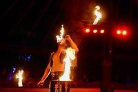 Bild: Zirkus Atlantik in Sundhausen
