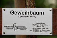 Bild: Einweihung Geweihbaum zum 40. Chorjubil&auml;um des Frankenh&auml;user Frauenchors