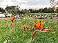 Bild: Orangerie in Bendeleben
