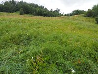 Bild: Spaziergang am Stausee