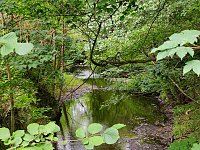 Vom Mägdesprung zum Waldgagsthof Bild: Vom Mägdesprung zum Waldgagsthof