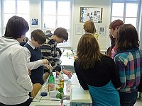 Bild: Tag der offenen T&uuml;r im Scholl-Gymnasium