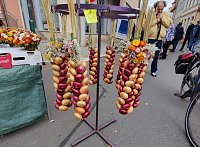 Zwiebelmarkt in Artern Bild: Zwiebelmarkt in Artern