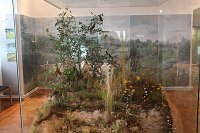 Diorama "Karge Schönheit" Bild: Diorama "Karge Schönheit"