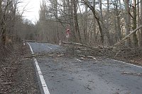 Bild: Sturmsch&auml;den auf der Landstra&szlig;e