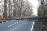 Bild: Sturmsch&auml;den auf der Landstra&szlig;e