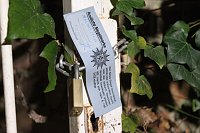 Bei einem Großeinsatz in Sondershausen konnte die Polizei eine Cannabis-Plantage ausheben Bild: Bei einem Großeinsatz in Sondershausen konnte die Polizei eine Cannabis-Plantage ausheben