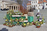 Gut besuchter Sondershäuser Ostermarkt Bild: Gut besuchter Sondershäuser Ostermarkt
