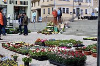 Gut besuchter Sondershäuser Ostermarkt Bild: Gut besuchter Sondershäuser Ostermarkt