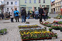 Gut besuchter Sondershäuser Ostermarkt Bild: Gut besuchter Sondershäuser Ostermarkt