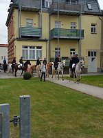 Archiv-Novalisritt 2019 Bild: Archiv-Novalisritt 2019