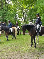 Archiv-Novalisritt 2019 Bild: Archiv-Novalisritt 2019