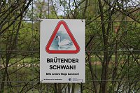 Absperrung um das Schwanennest im Sondershäuser Schlosspark Bild: Absperrung um das Schwanennest im Sondershäuser Schlosspark