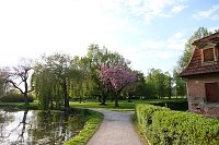 Sie brüten noch! Bild: Sie brüten noch!