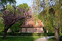 Sie brüten noch! Bild: Sie brüten noch!