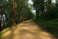 Sie brüten noch! Bild: Sie brüten noch!