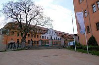Sie brüten noch! Bild: Sie brüten noch!