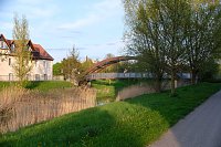 Sie brüten noch! Bild: Sie brüten noch!