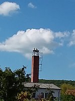 Bild: St&ouml;rche in Bad Frankenhausen