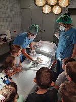 Dr. Martin Kocúr, Leitender Oberarzt der Klinik für Anästhesiologie und Schmerztherapie, führte die Kinder über die Stationen Bild: Dr. Martin Kocúr, Leitender Oberarzt der Klinik für Anästhesiologie und Schmerztherapie, führte die Kinder über die Stationen