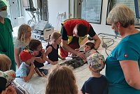 Was klopft denn da? Die Kinder durften mit einem Stethoskop hören, welche Geräuche ein Herz macht. Bild: Was klopft denn da? Die Kinder durften mit einem Stethoskop hören, welche Geräuche ein Herz macht.